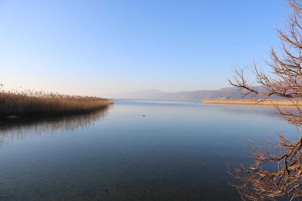 Hotel Montenegro Struga Exteriör bild